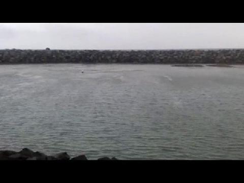 dana point nav safety warning